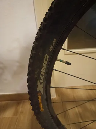 Specialized 29" Epic Hardtail Carbon XL