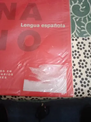 Diccionario Primaria. Nivel Básico (Spanish Edi...