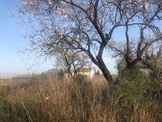 Terreno en venta en Pedreguer