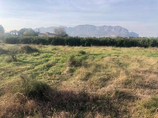 Terreno en venta en Pedreguer