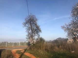 Terreno en venta en Pedreguer