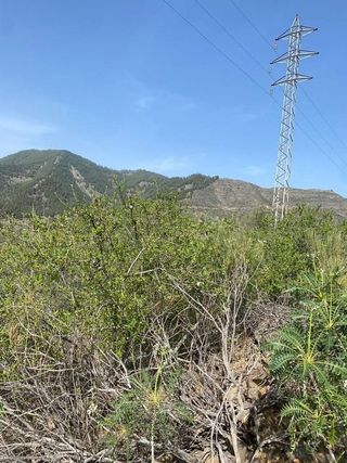Terreno en venta en Santiago del Teide en Santiago del Teide