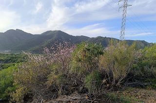 Terreno en venta en Santiago del Teide en Santiago del Teide