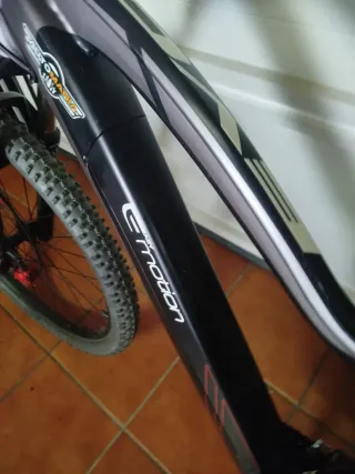 Bicicleta elettrica E-Motion