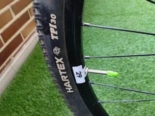 Bicicleta WST poison 29, 19'' Pulgadas Talla L.