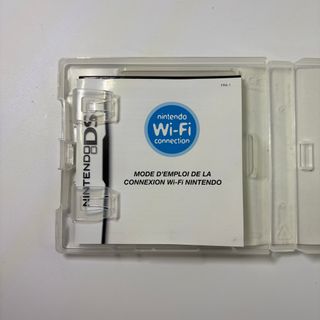 Mario & Sonic Giochi Olimpici Invernali DS