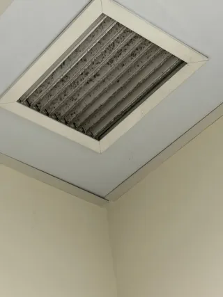 Servicios de limpieza