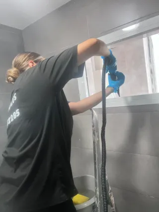 Servicios de limpieza