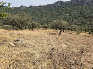 Terreno en venta en Mejostilla en Cáceres