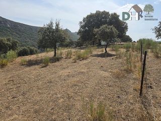Terreno en venta en Mejostilla en Cáceres