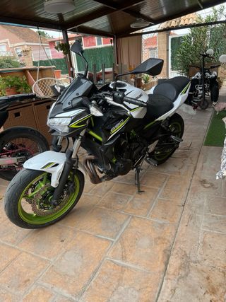 Kawasaki Z650 Naked Verde/Blanca