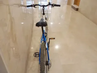 Bicicleta Montaña Togano Panther