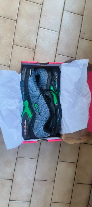 Nike Air Max Plus TN Grigio Verde