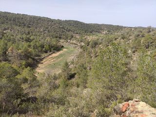 Terreno en venta en Pobla de Cérvoles, la