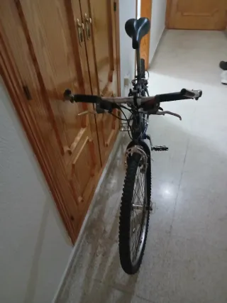 Bicicleta Zeus