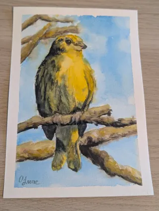 Acuarela original de ave enmarcada (A5)