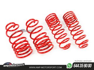 MUELLES DEPORTIVOS MTS TECHNIK MTSXFI076