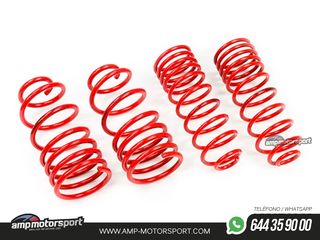 MUELLES DEPORTIVOS MTS TECHNIK MTSXLA003