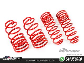 MUELLES DEPORTIVOS MTS TECHNIK MTSXHY011