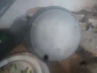 Lámparas y Plafones Decorativos