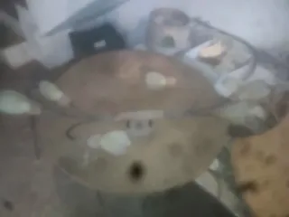 Lámparas y Plafones Decorativos