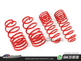 MUELLES DEPORTIVOS MTS TECHNIK MTSXVW140