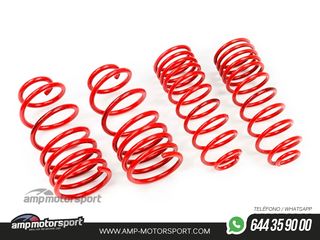 MUELLES DEPORTIVOS MTS TECHNIK MTSXMA050