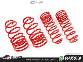 MUELLES DEPORTIVOS MTS TECHNIK MTSXFI083