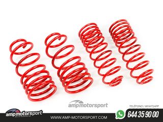 MUELLES DEPORTIVOS MTS TECHNIK MTSXSK089