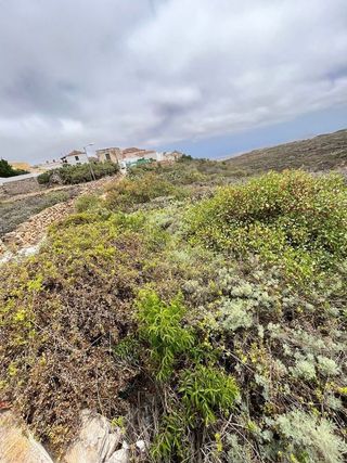 Terreno en venta en Arico