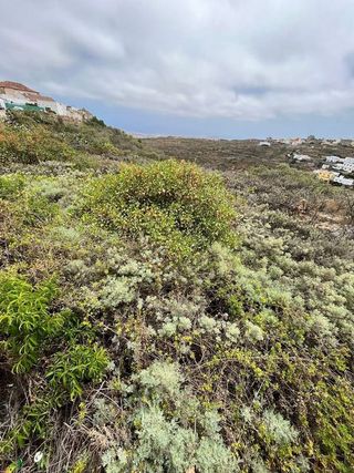 Terreno en venta en Arico