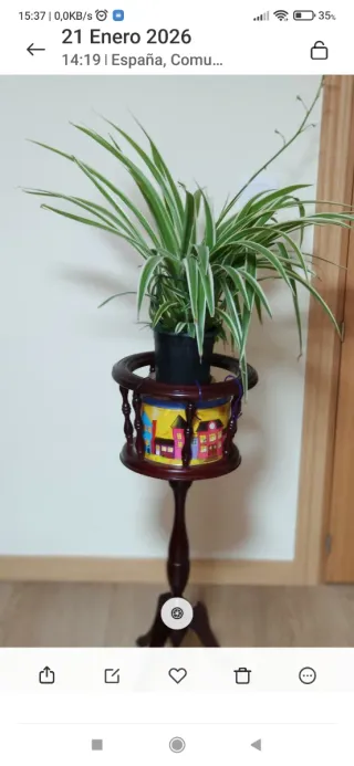 Regalo el portafotos comprando  macet de Aloe Vera