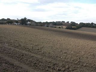 Terreno en venta en Vejer de la Frontera