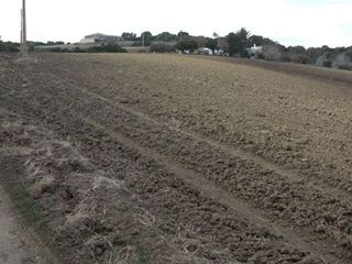 Terreno en venta en Vejer de la Frontera