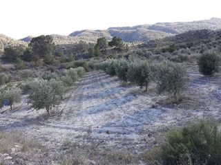 Terreno en venta en Abanilla