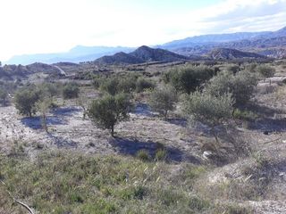 Terreno en venta en Abanilla