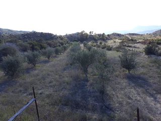 Terreno en venta en Abanilla