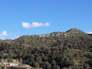 Terreno en venta en Abanilla