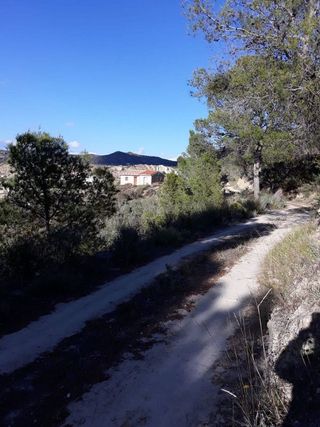 Terreno en venta en Abanilla