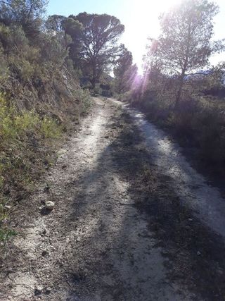 Terreno en venta en Abanilla