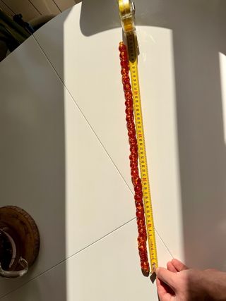 Collar Ámbar Báltico