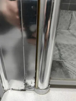 Mampara de ducha frontal 80  cm