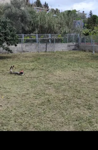 Desbroces 631747 343