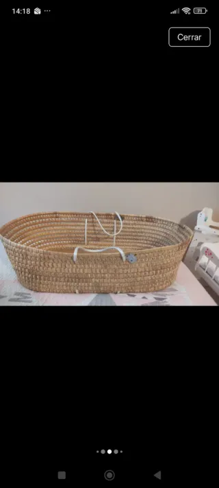 Moisés mimbre con osito