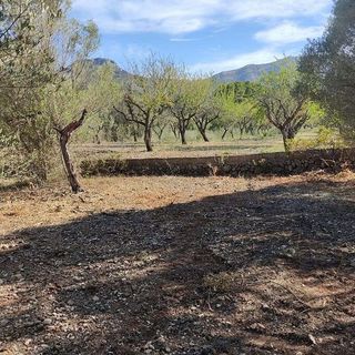 Solar en venta en Alcalalí
