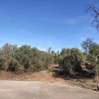 Solar en venta en Alcalalí