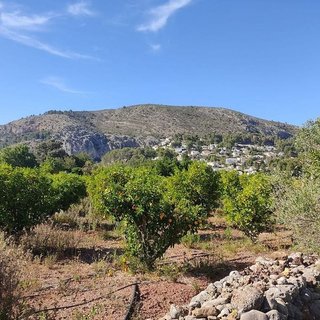 Solar en venta en Alcalalí