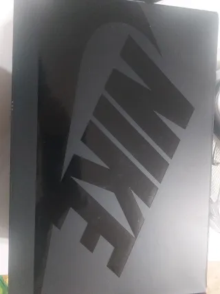 Zapatillas Nike Mujer Plata y Blanco