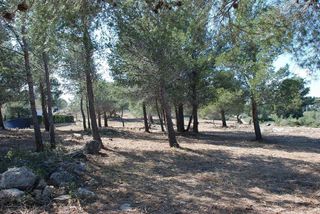 Terreno en venta en Calafat en Ametlla de Mar, l´