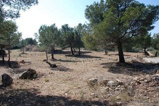 Terreno en venta en Calafat en Ametlla de Mar, l´